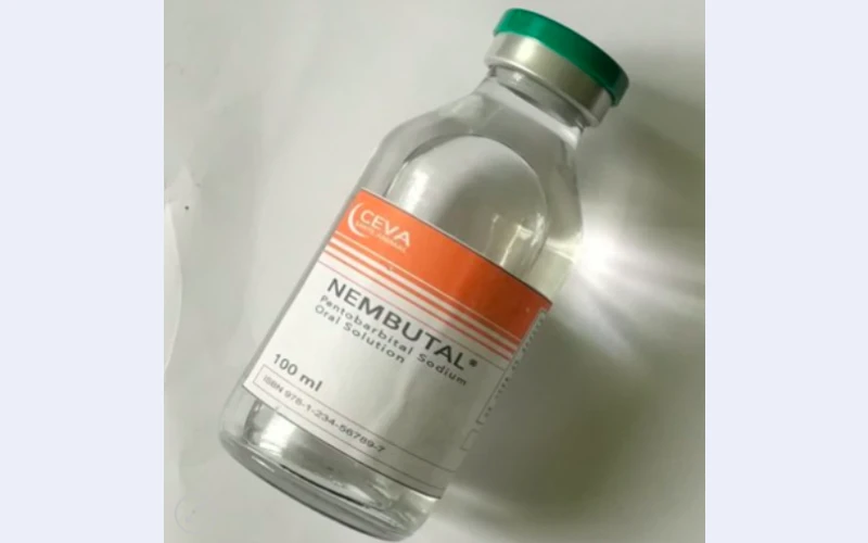 Telgrm+1267.227.9080.Buy Sodium Pentobarbital 400Mg/Ml Injection In Manchester, Liverpool, Plymounth And Briston UK
