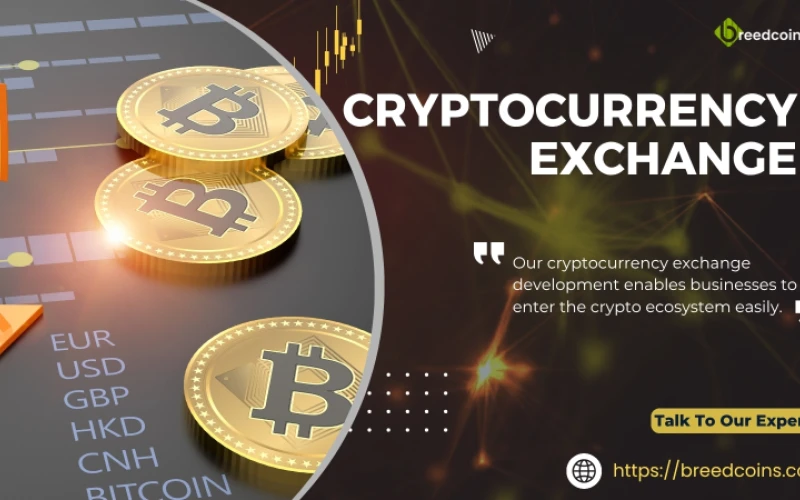 Searching for a Reliable Cryptocurrency Exchange Development Partner in the USA? Try BreedCoins!