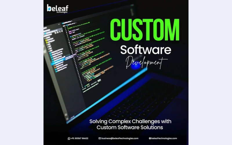 Custom Software Development with Beleaf Technologies