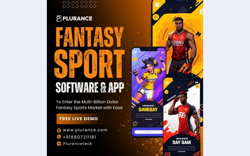 Why Should Entrepreneurs Invest in Fantasy Sports Software Solutions?