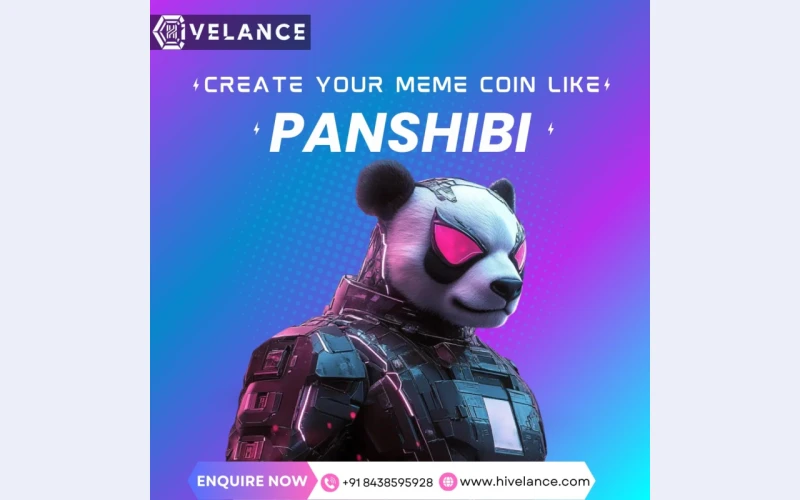 Develop and Launch Your Dream Anime Meme Coin Like Panshibi with Hivelance