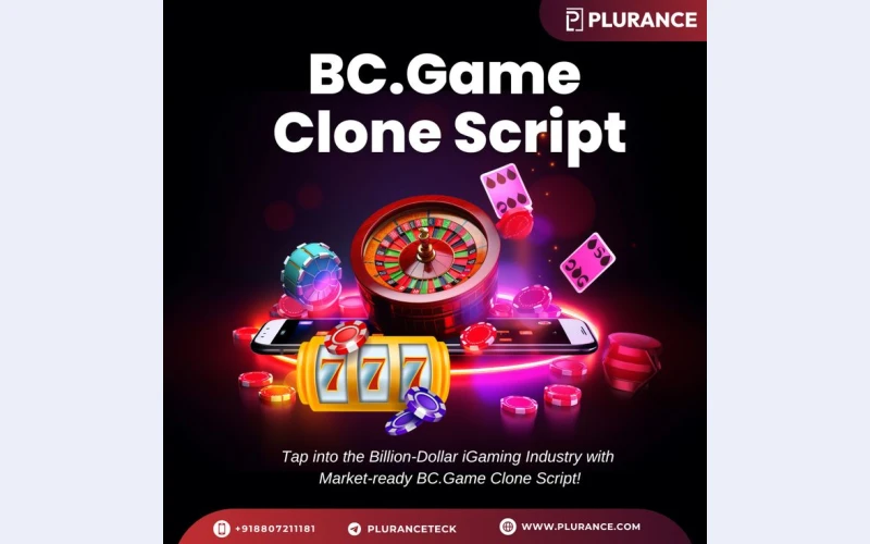 Who Can Use Plurance’s WhiteLabel BC.Game Clone Script to Scale Fast?