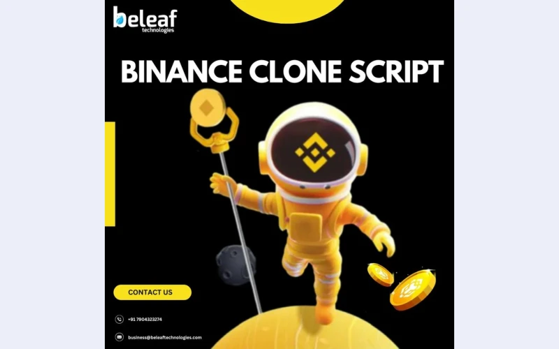 Effective Strategies to Boost Your Business Growth Using a Binance Clone Script