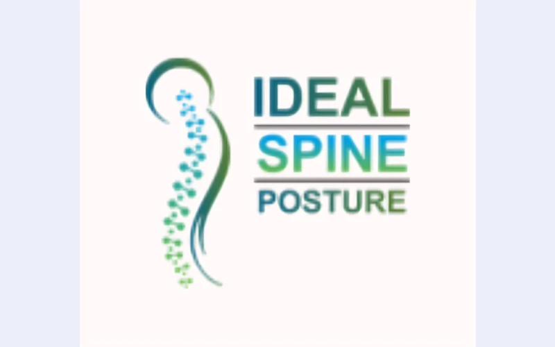 Ideal Spine Posture - Chiropractor in Delhi