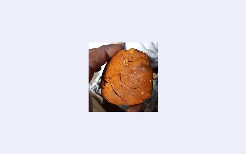 buy-cow-ox-gallstone-available-on-stock-now--whatsapp-237673528224